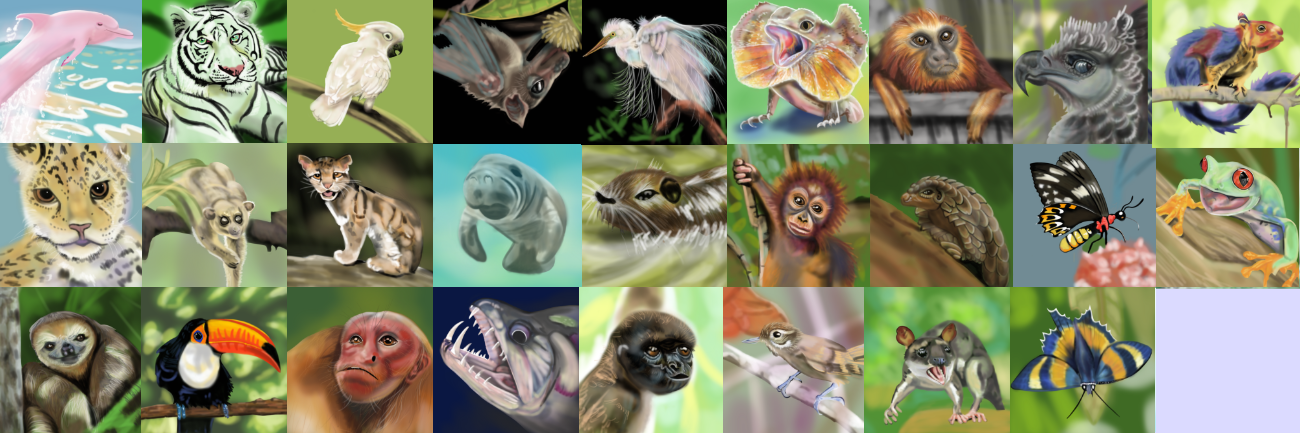 drawings of rainforest animals